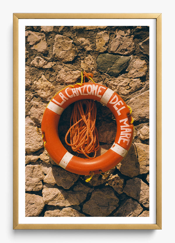 The Lifeline in a Gold frame