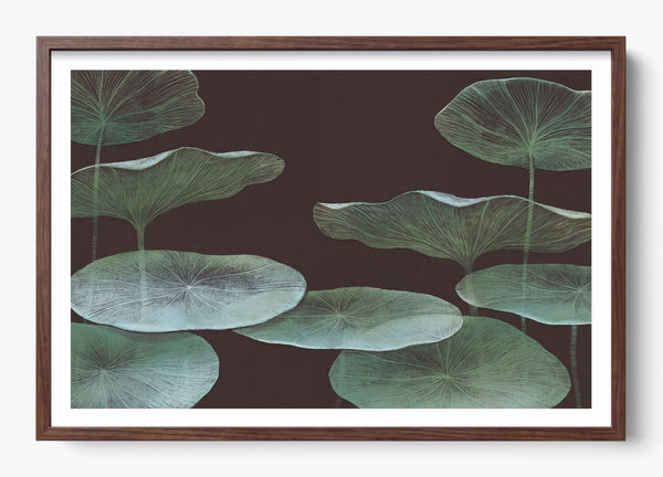 The Dark Lotus in a Heritage Walnut frame