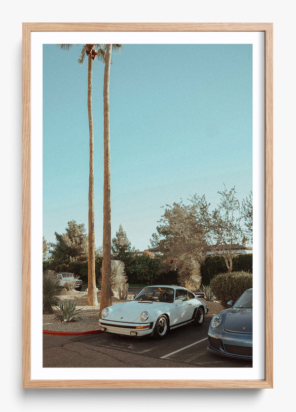 Wait In Palm Springs in a Hickory frame