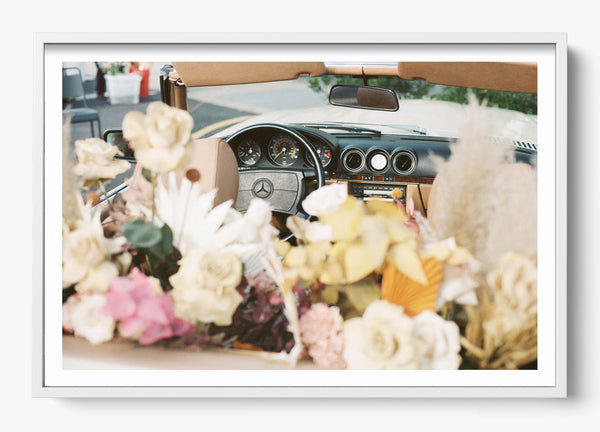 On Spring Break in a White frame