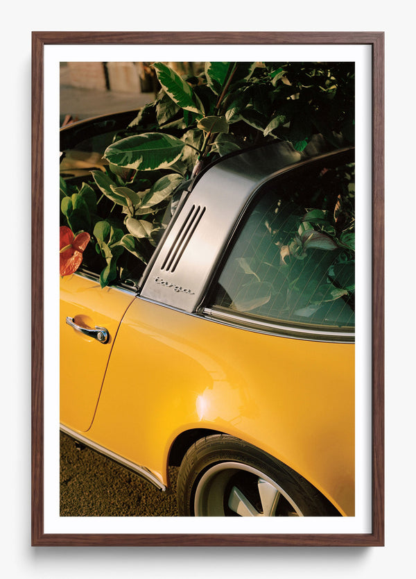 Mellow Yellow in a Heritage Walnut frame