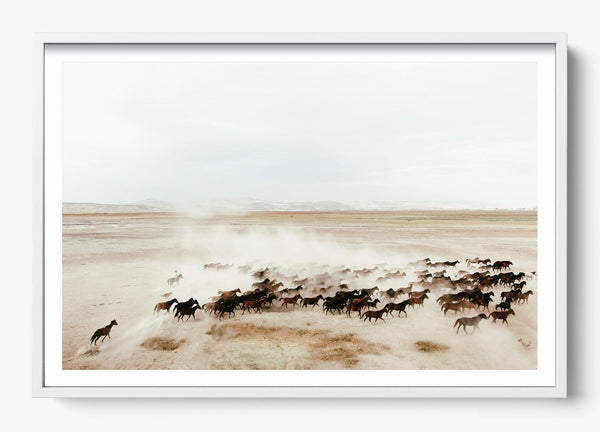 Homeward in a White frame