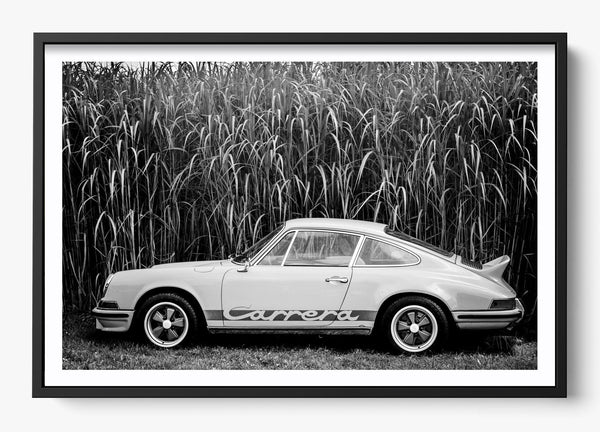 In The Weeds in a Black frame