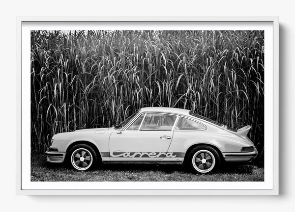 In The Weeds in a White frame