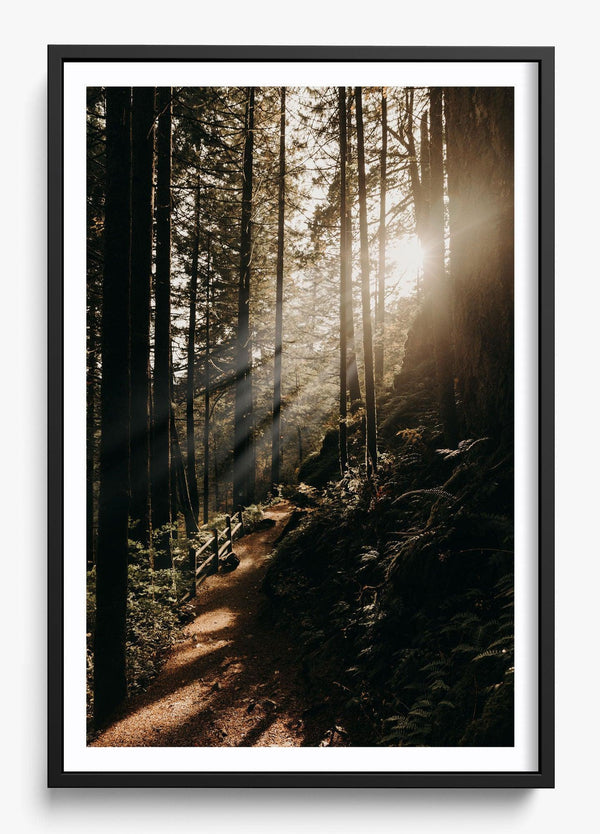 The Morning Sun in a Black frame