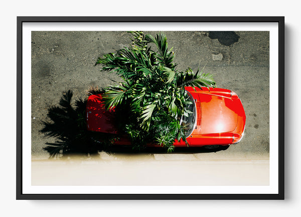 Miami Paradise in a Black frame
