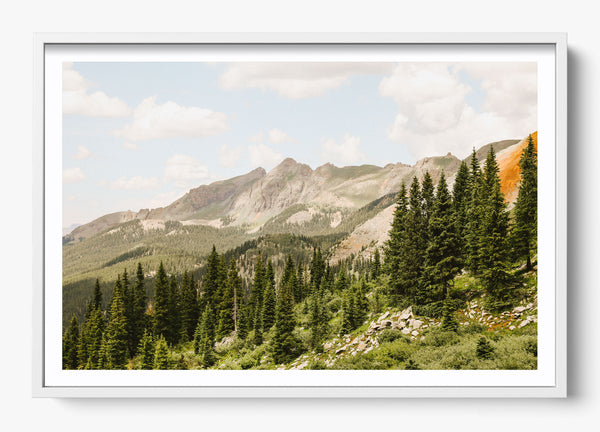 Telluride Pines in a White frame