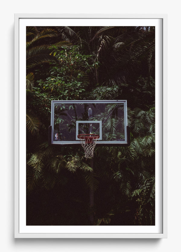 Home Grown in a White frame