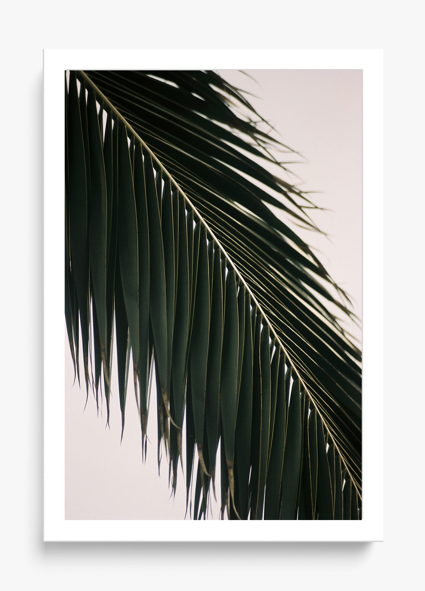 Tropical Covering