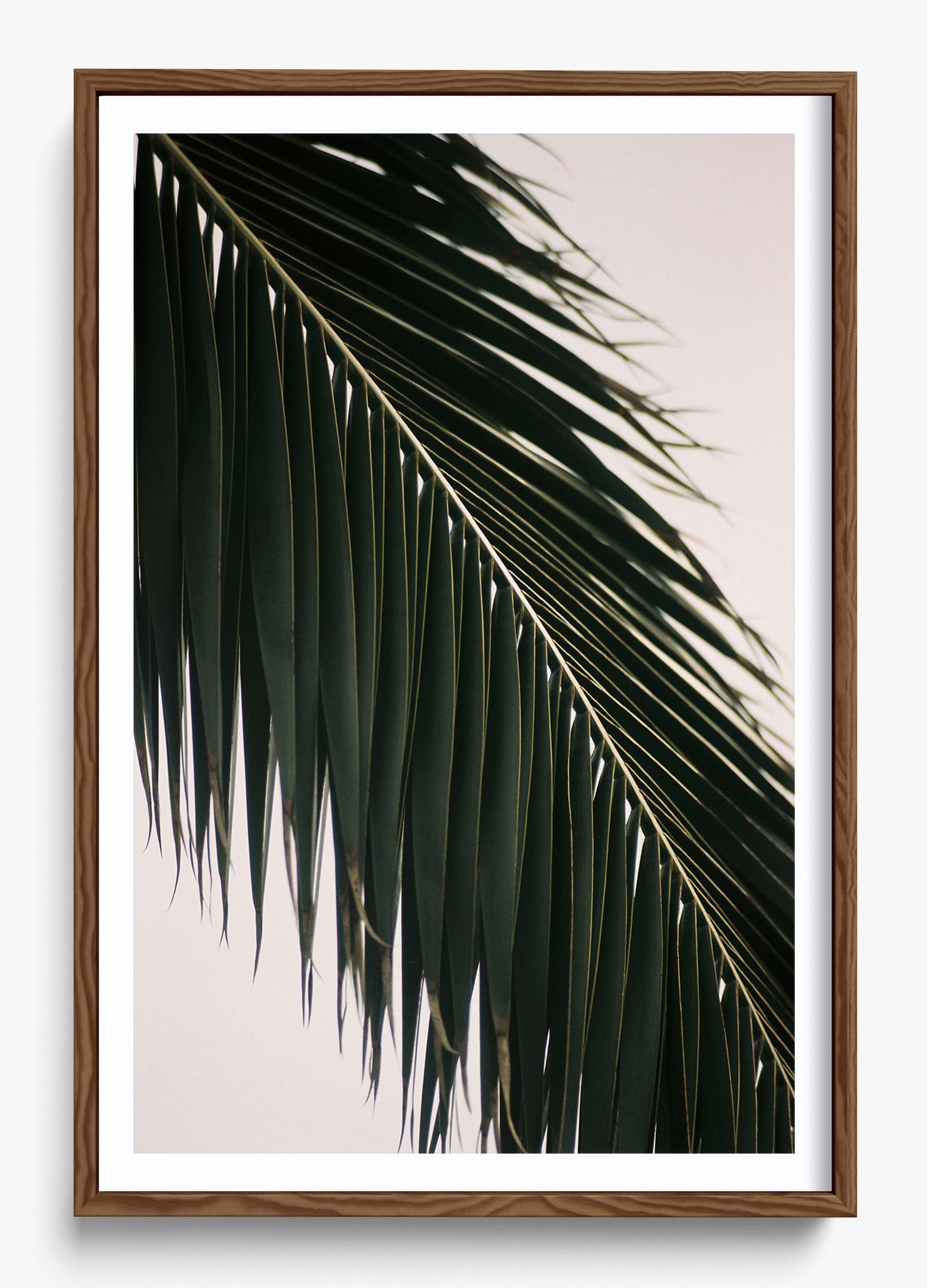 Tropical Covering