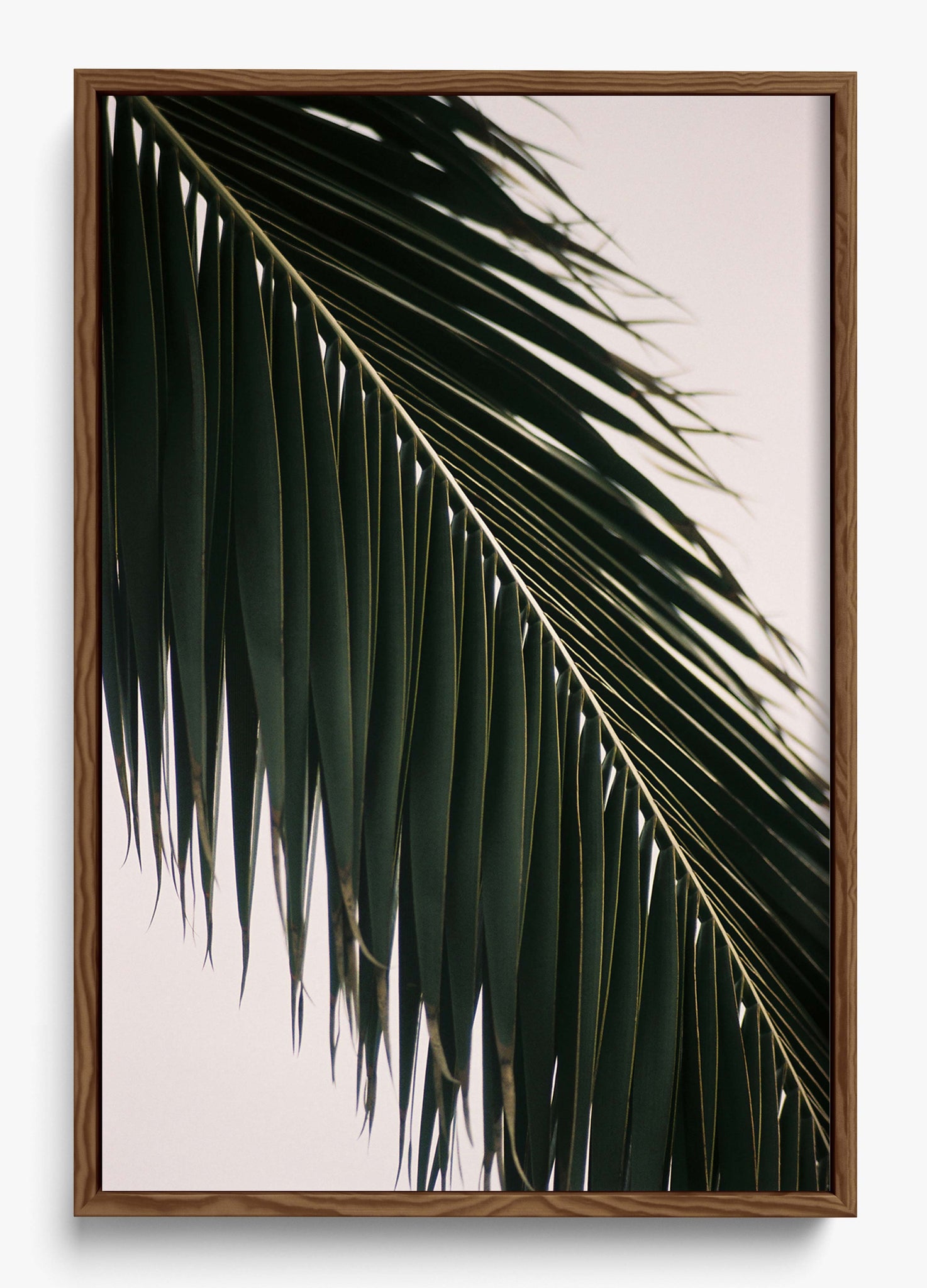 Tropical Covering