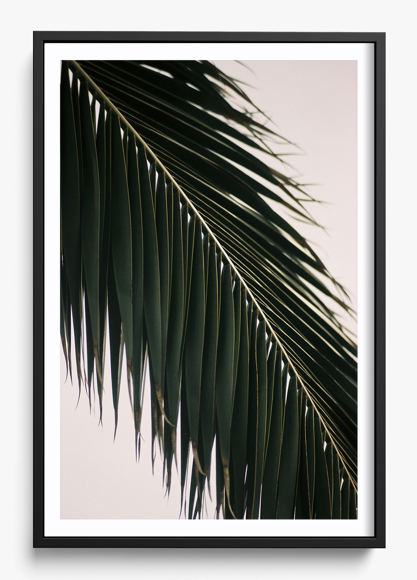 Tropical Covering
