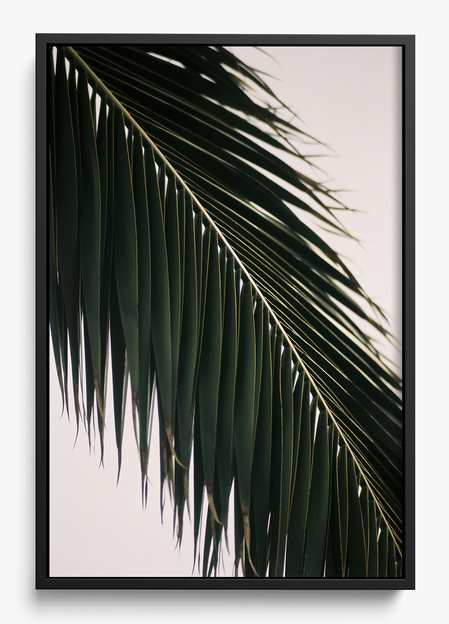 Tropical Covering
