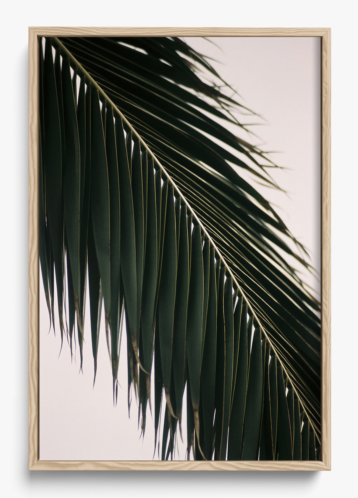 Tropical Covering