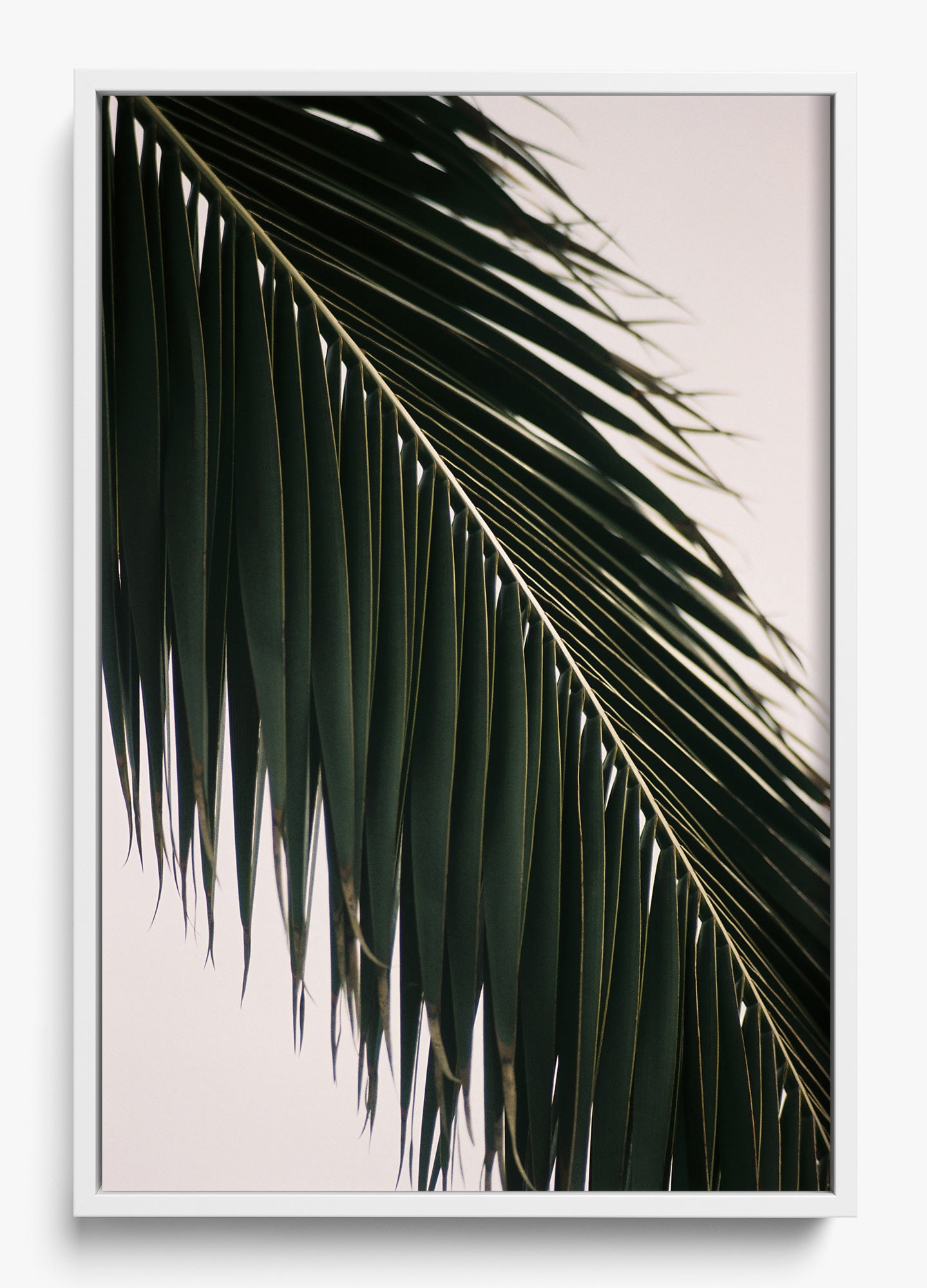 Tropical Covering