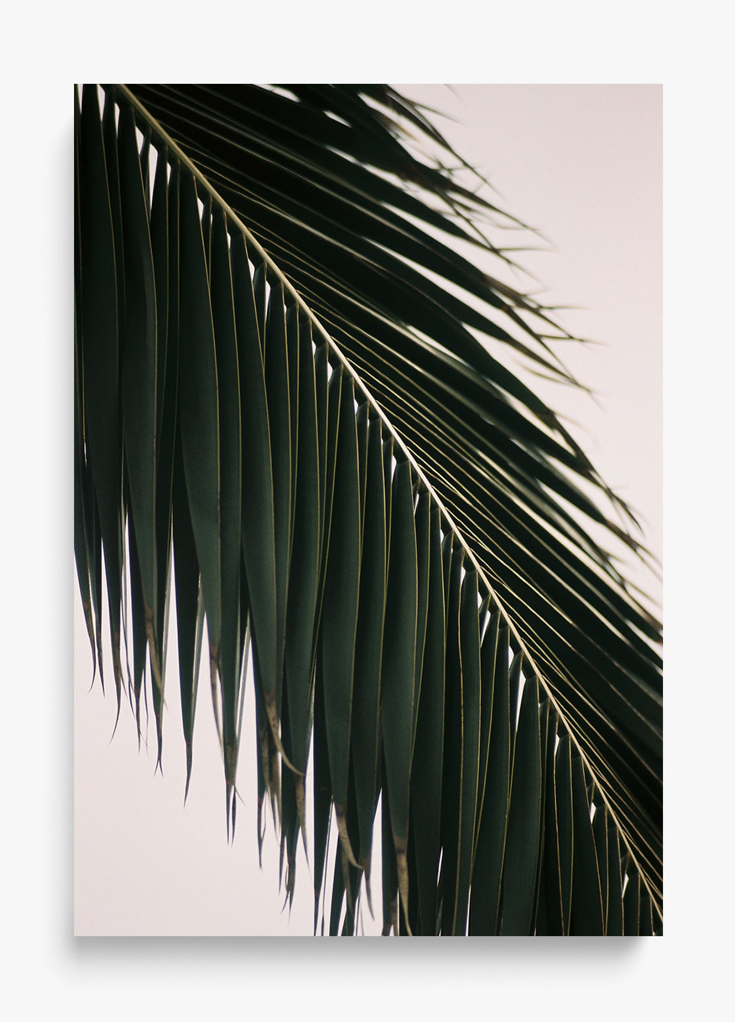 Tropical Covering