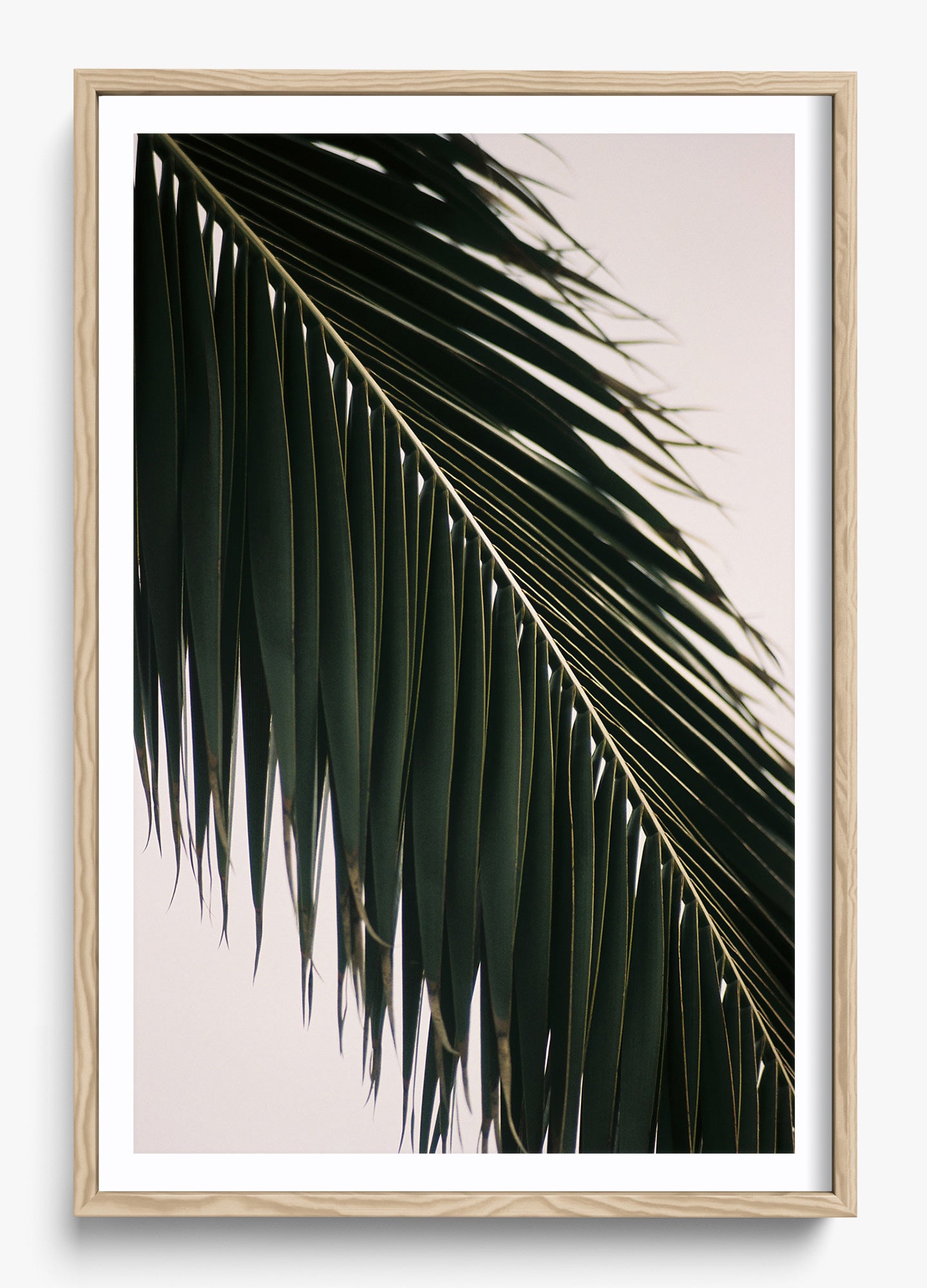 Tropical Covering