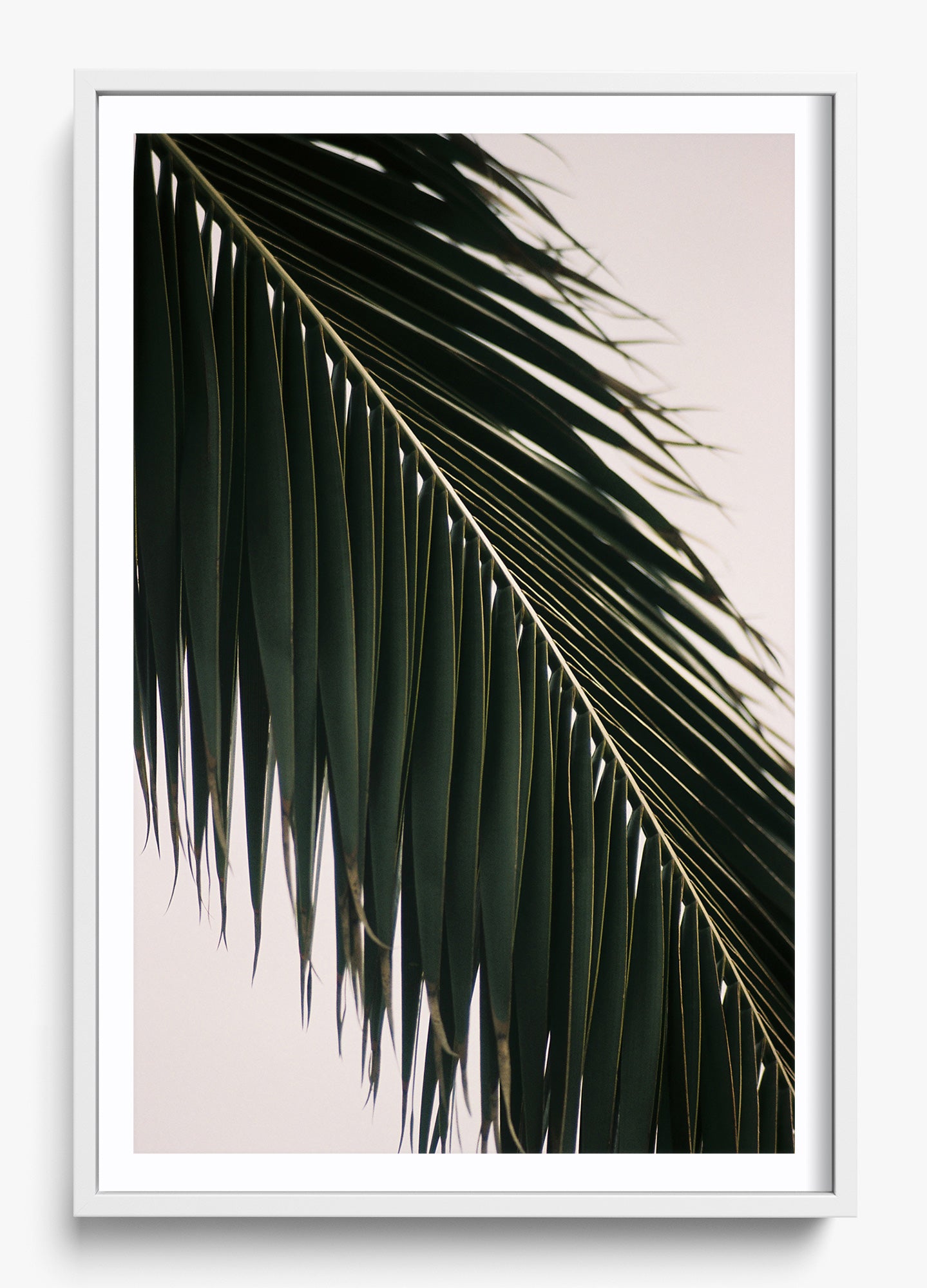 Tropical Covering