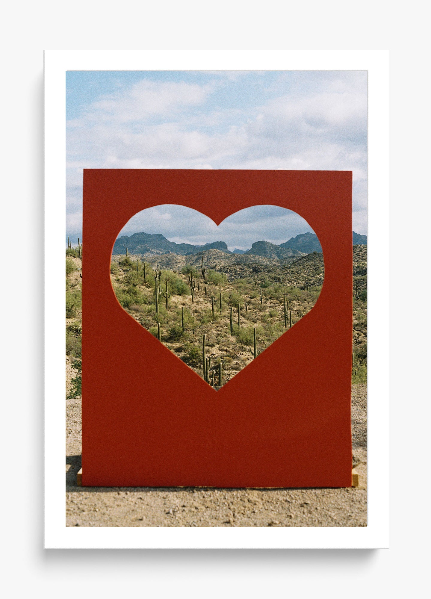 Desert Love