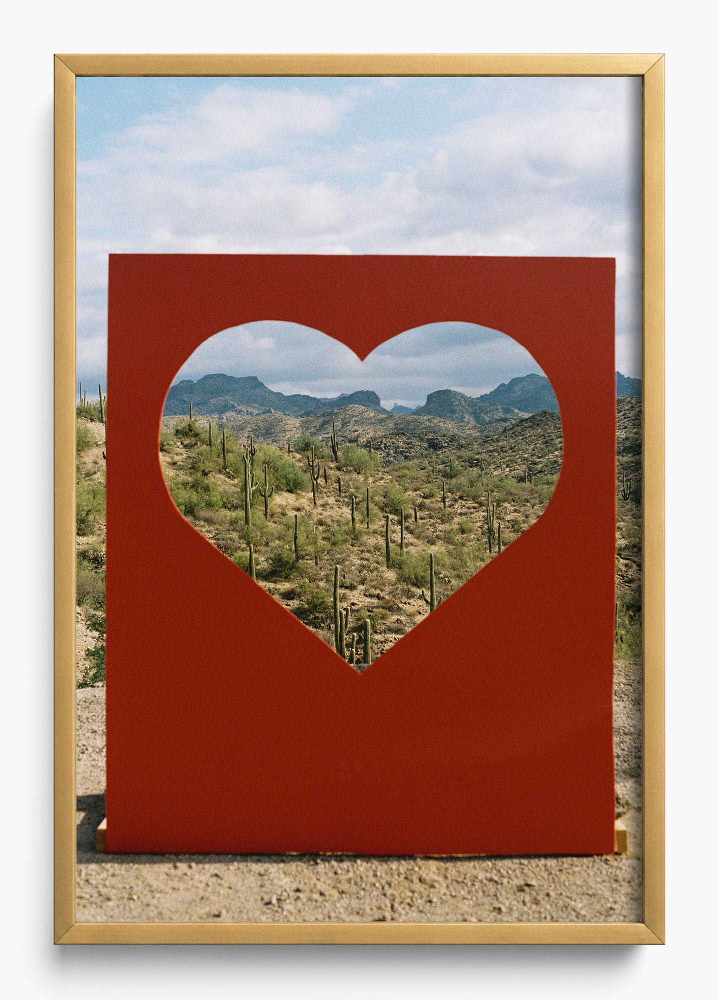 Desert Love