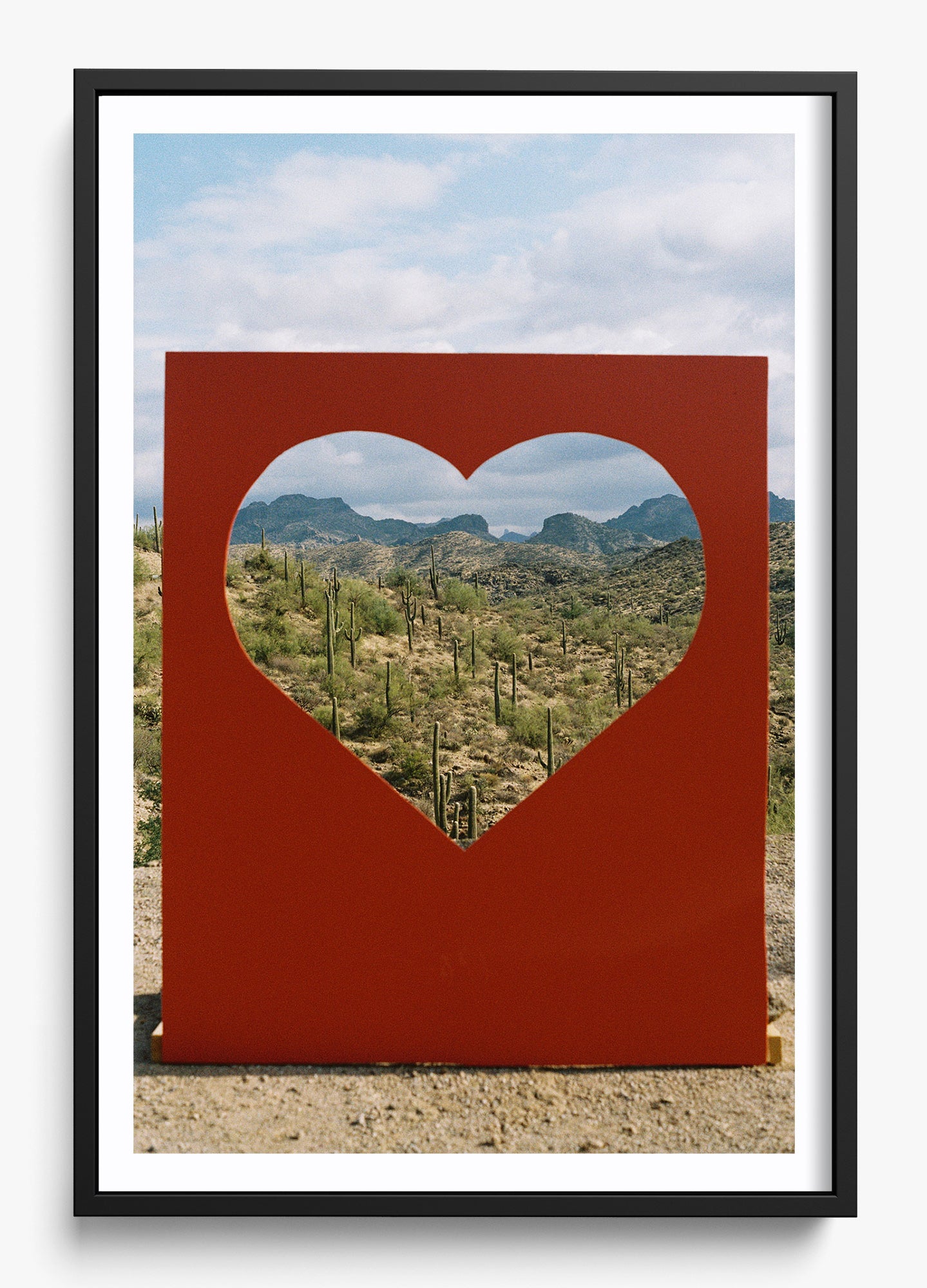 Desert Love