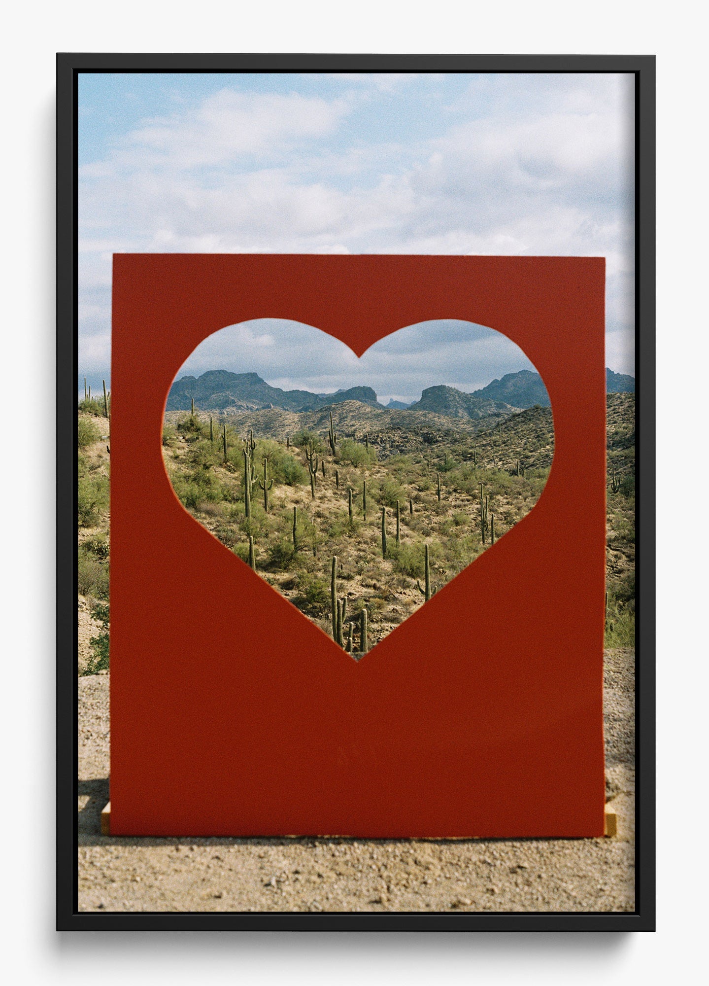 Desert Love
