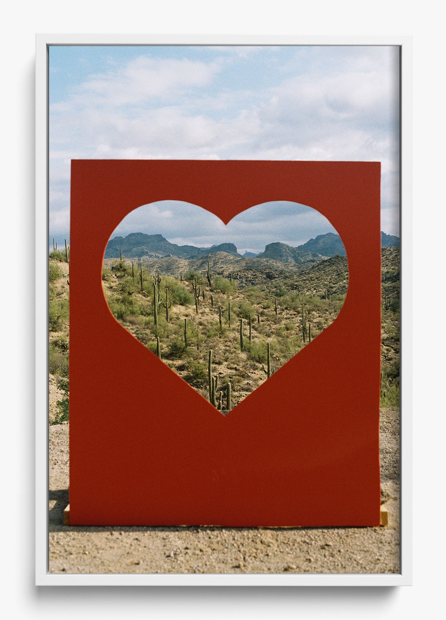 Desert Love