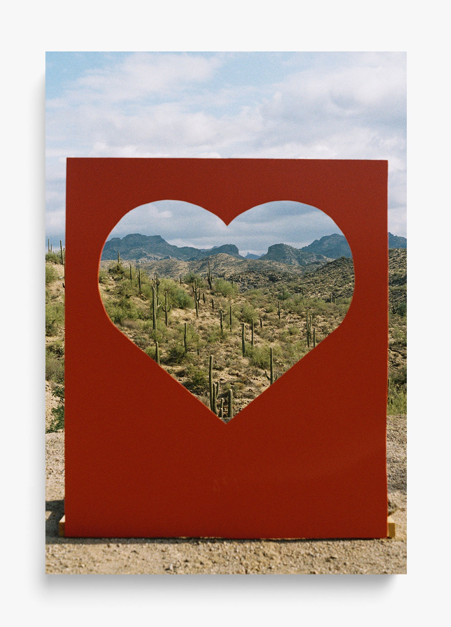 Desert Love