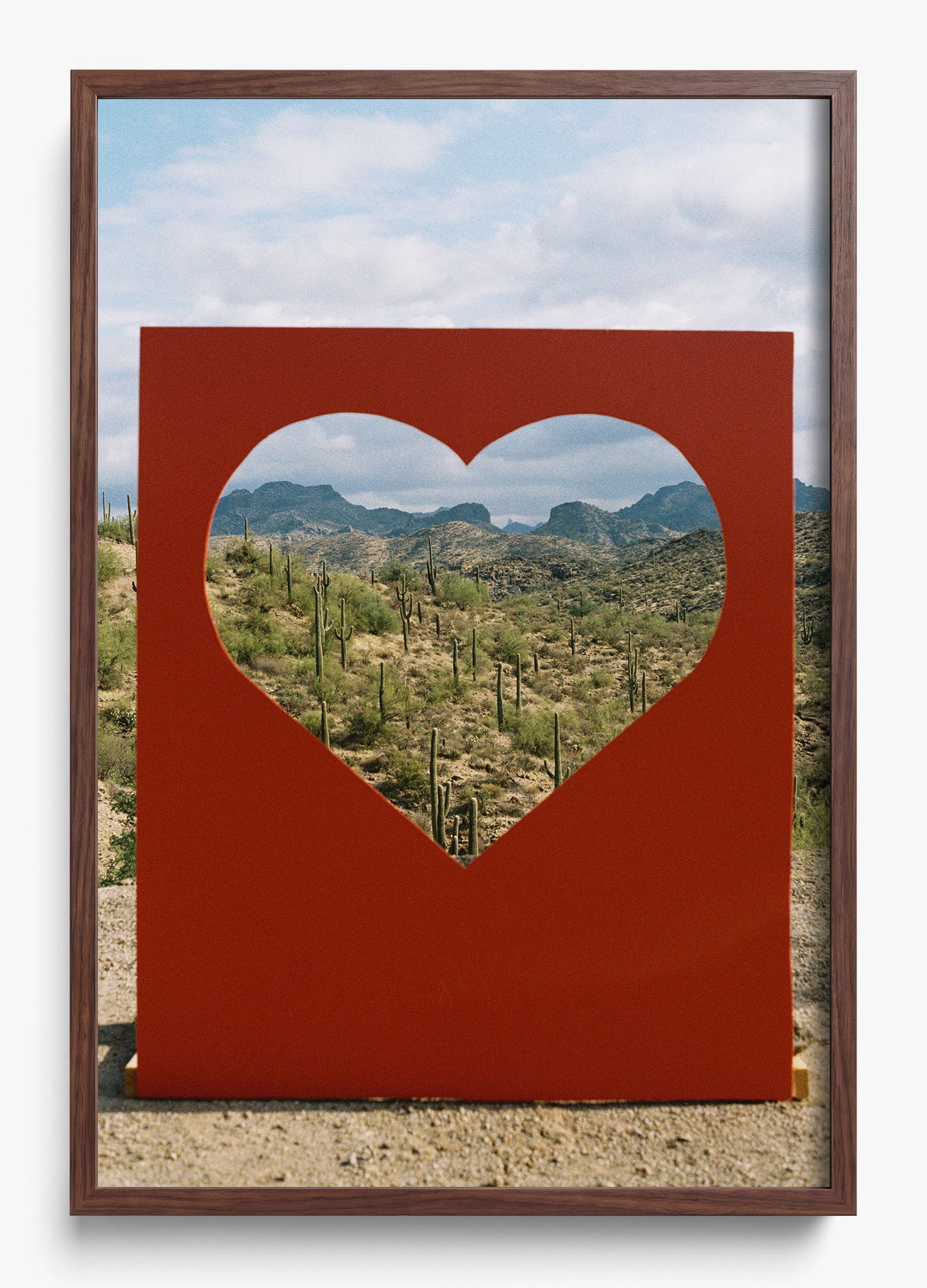 Desert Love