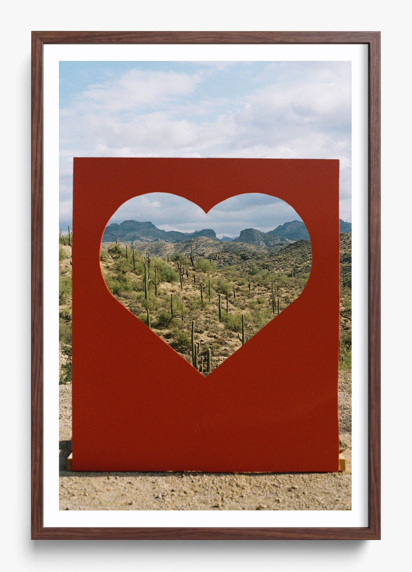 Desert Love