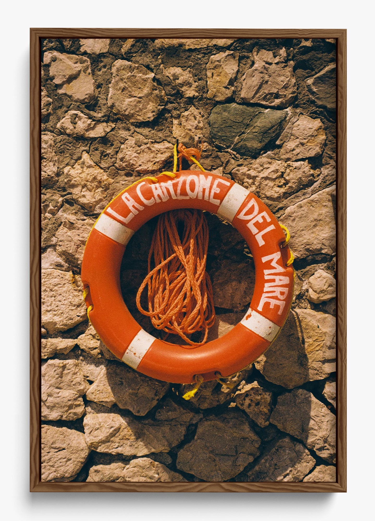 The Lifeline