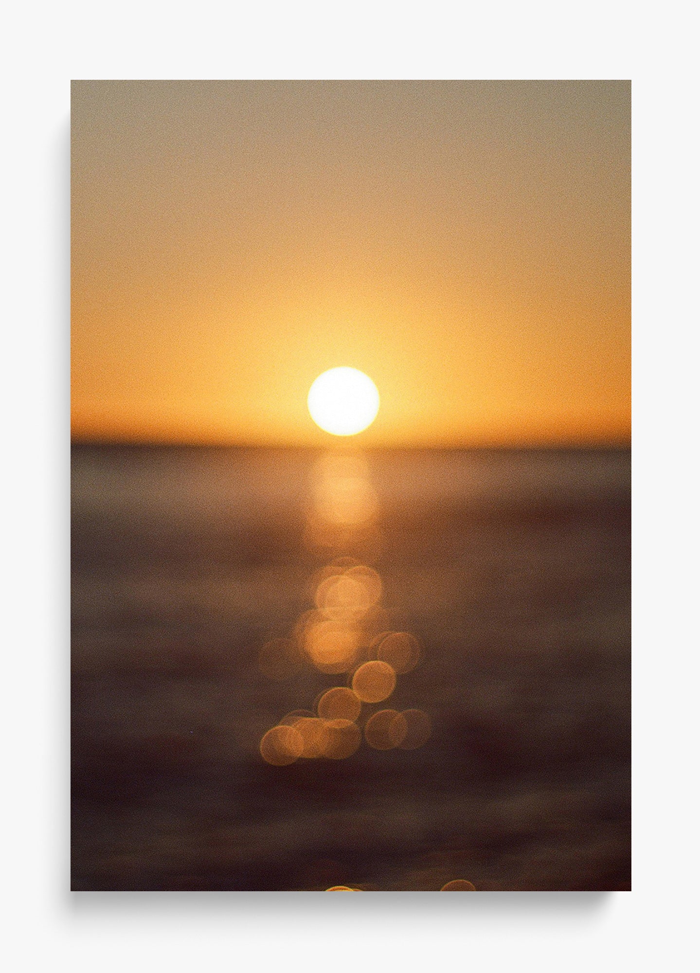 Summer Daze