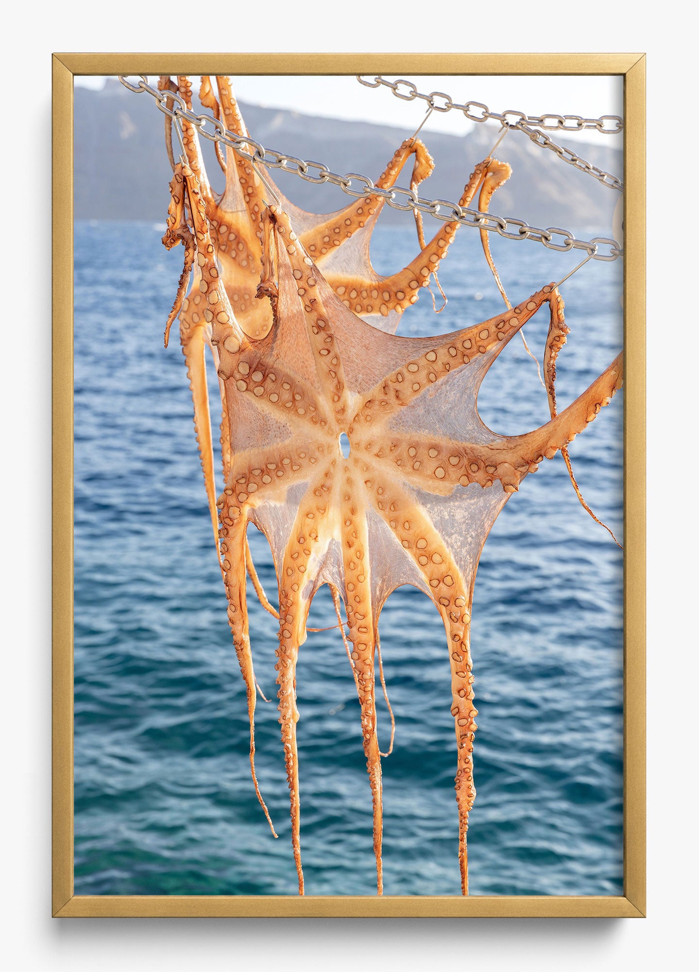 Ammoudi Bay Catch