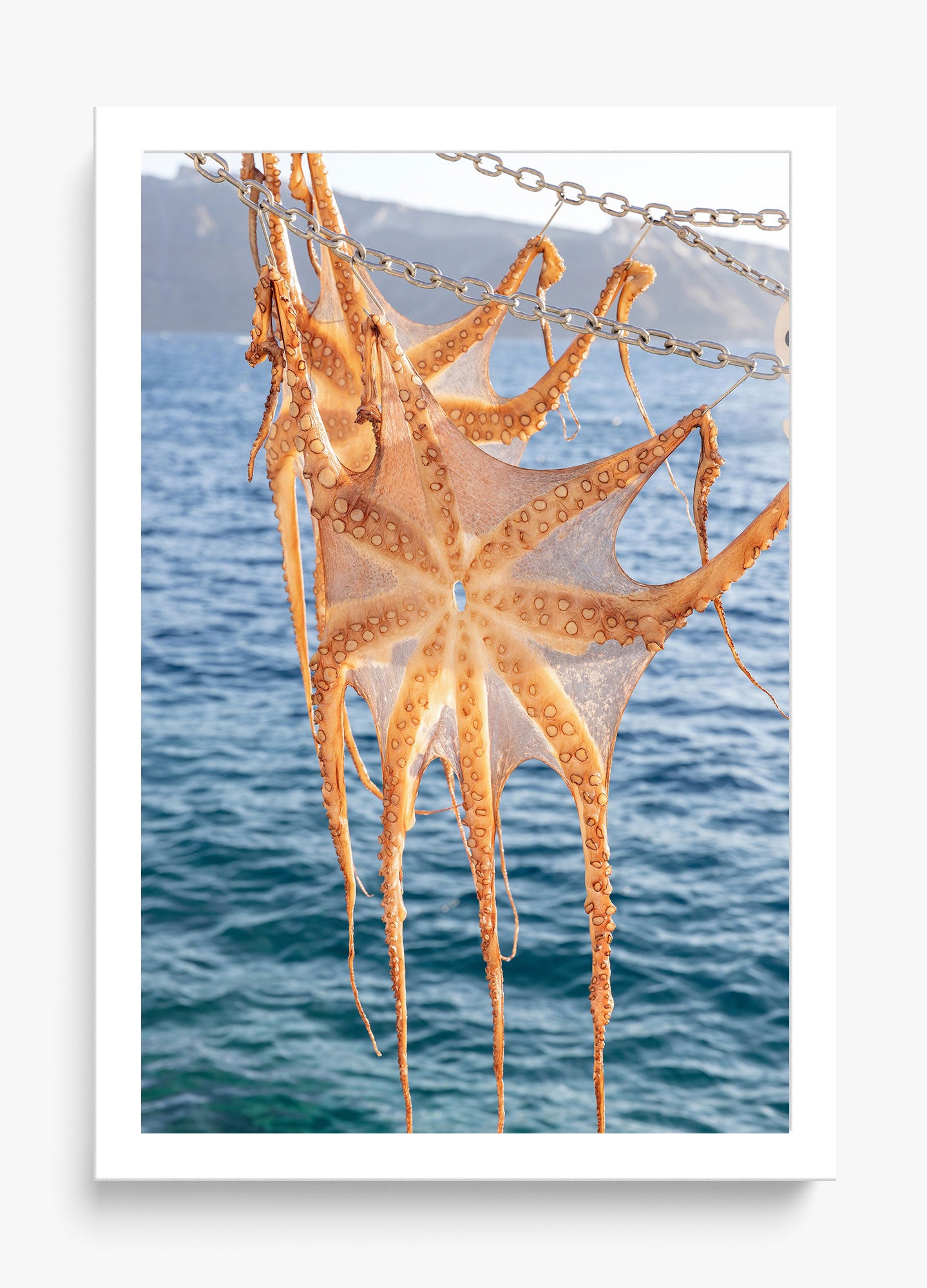 Ammoudi Bay Catch