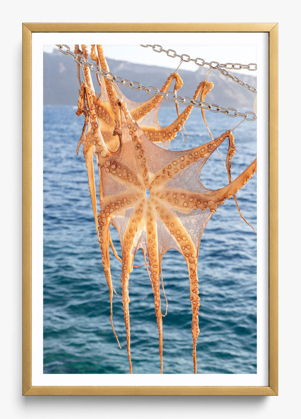 Ammoudi Bay Catch in a Gold frame