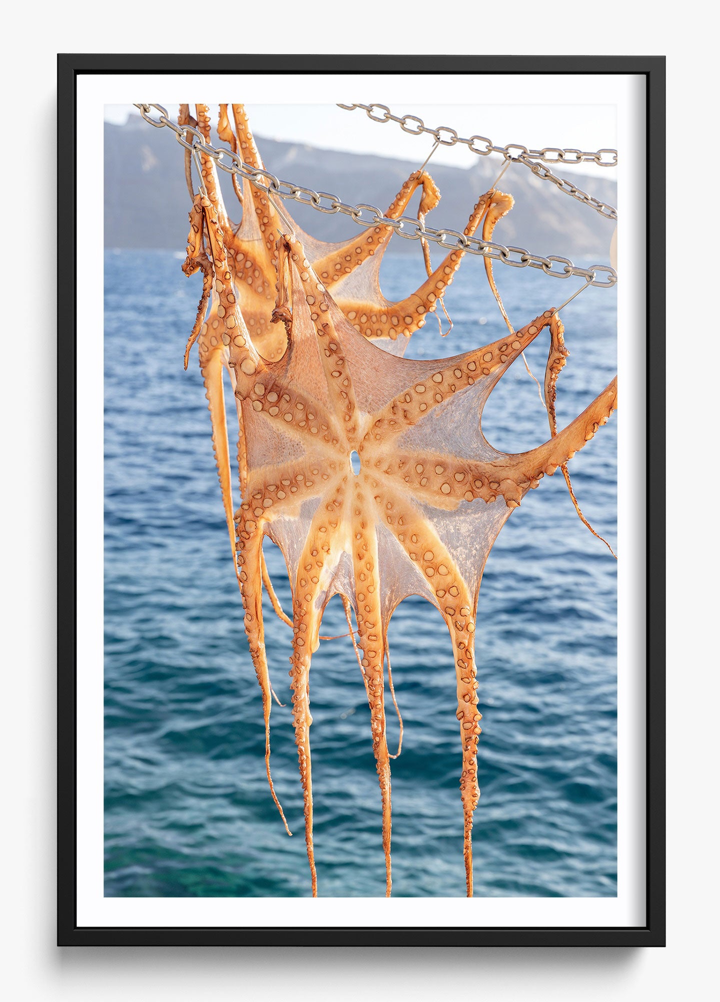 Ammoudi Bay Catch