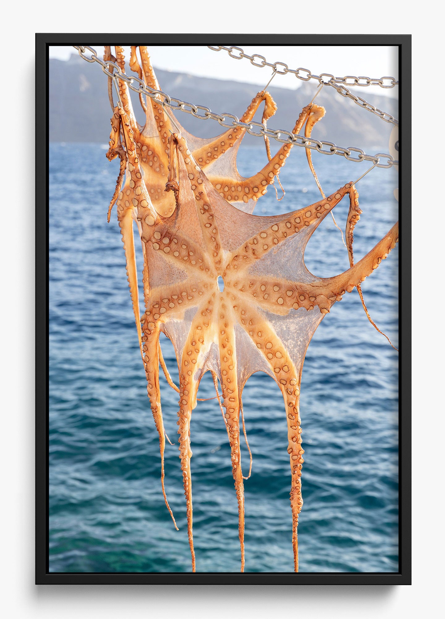 Ammoudi Bay Catch