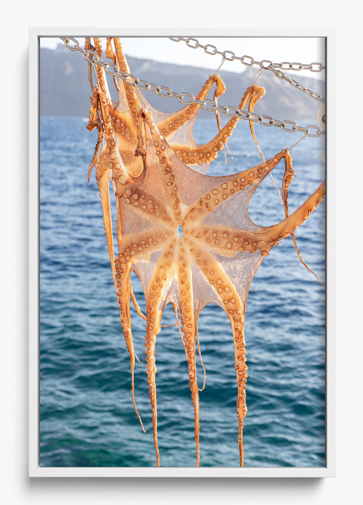 Ammoudi Bay Catch