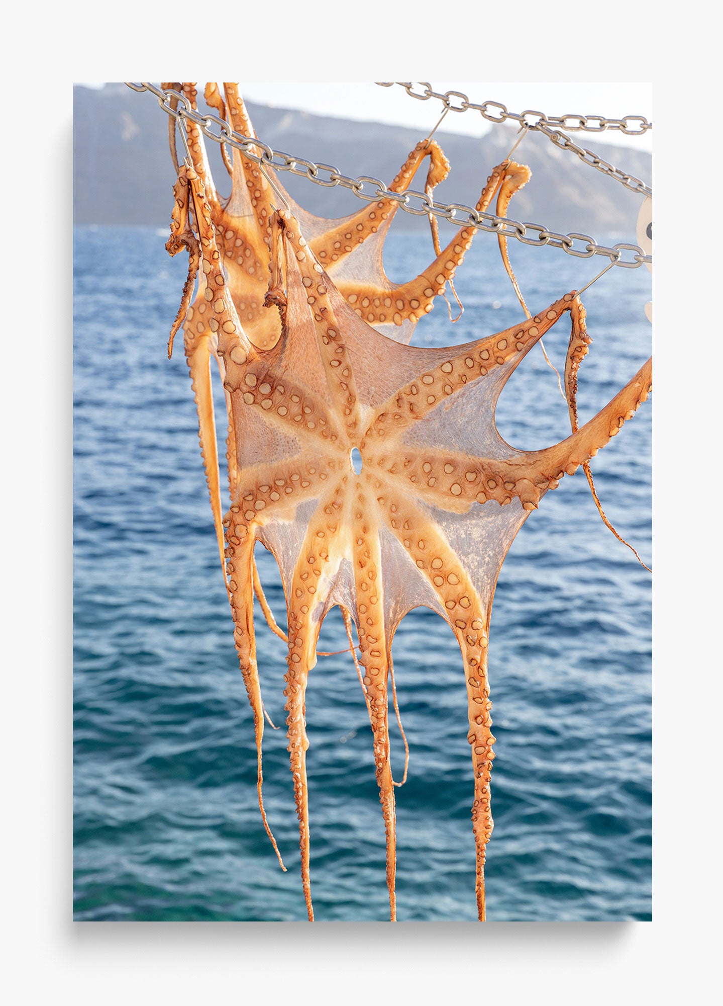Ammoudi Bay Catch