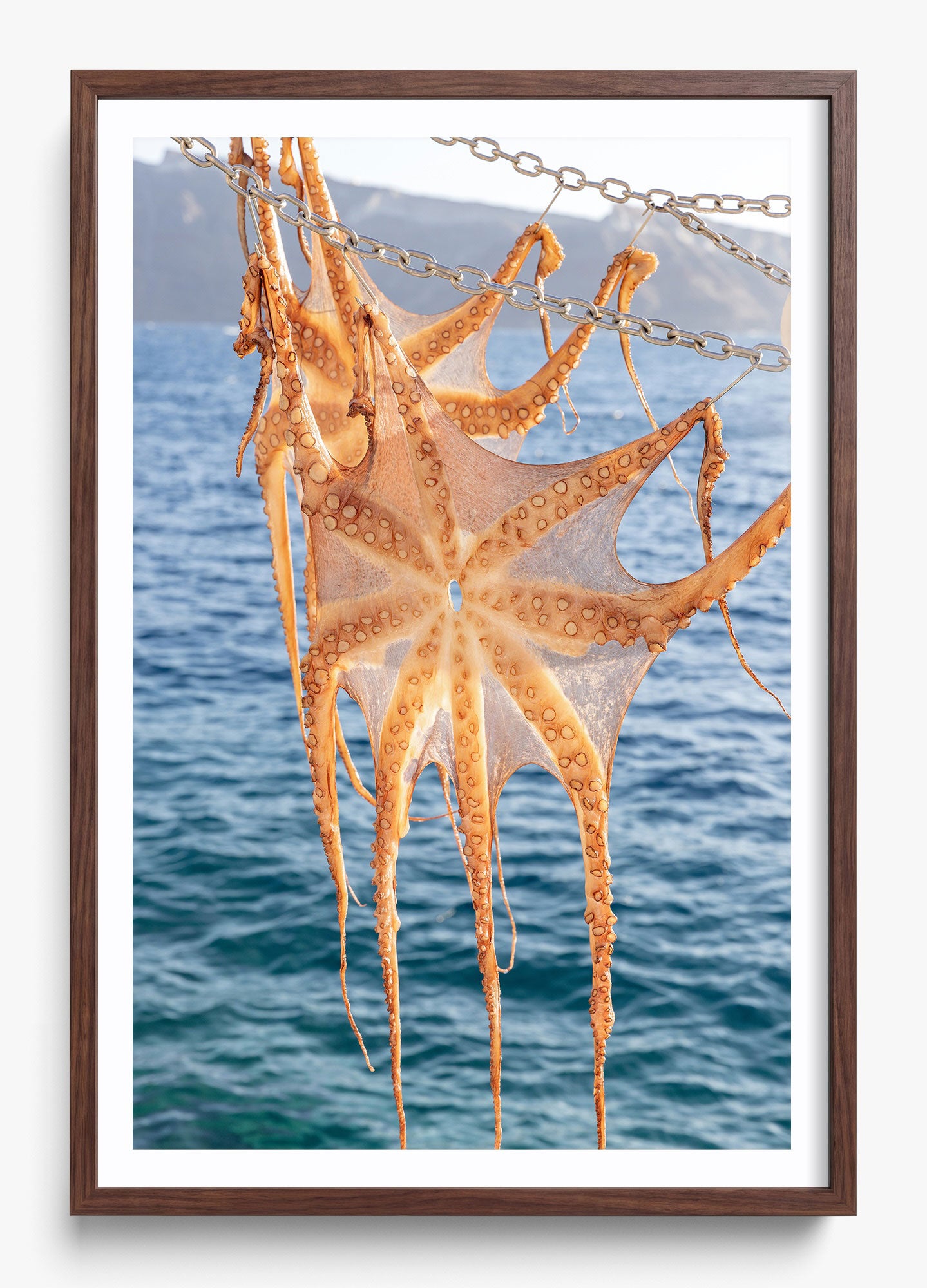 Ammoudi Bay Catch