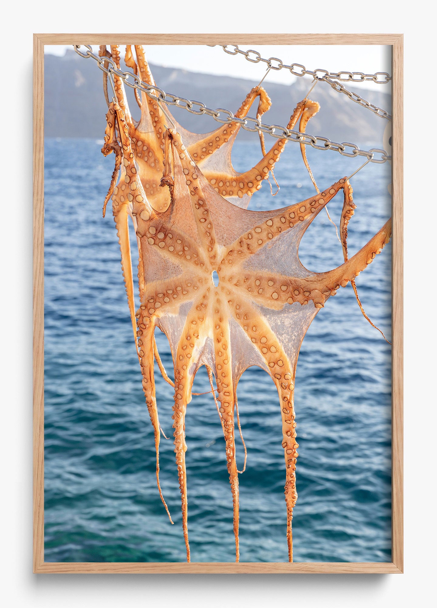 Ammoudi Bay Catch