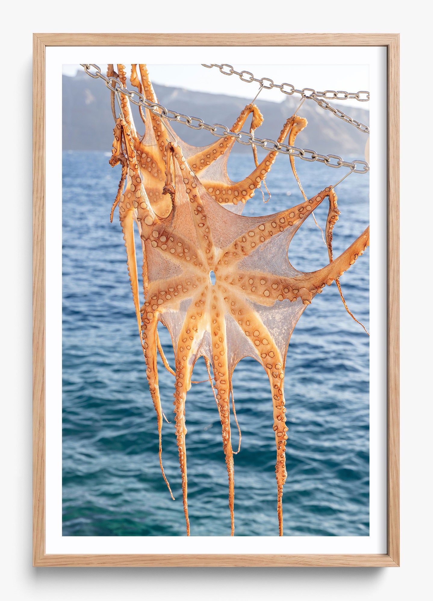 Ammoudi Bay Catch