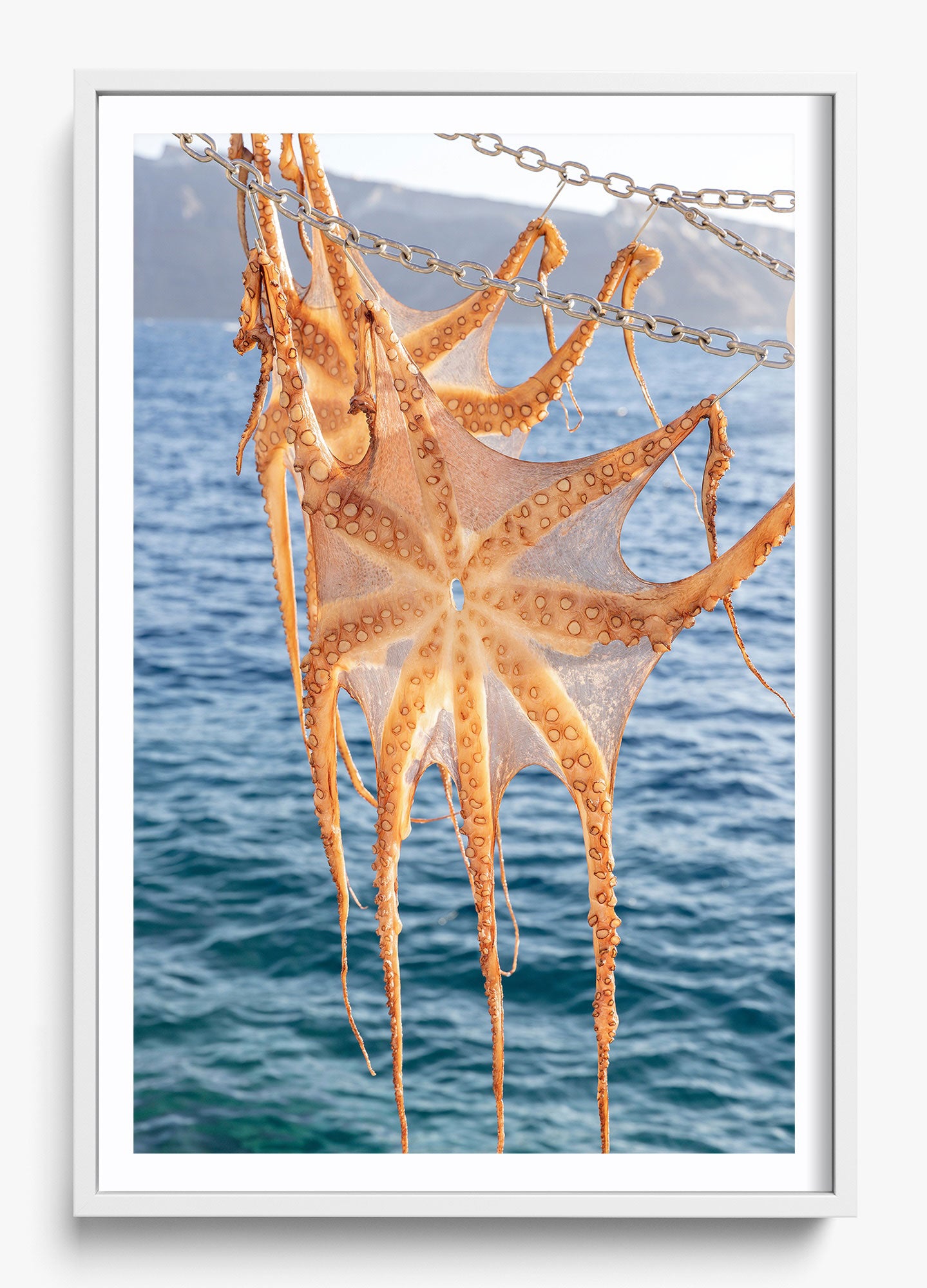 Ammoudi Bay Catch
