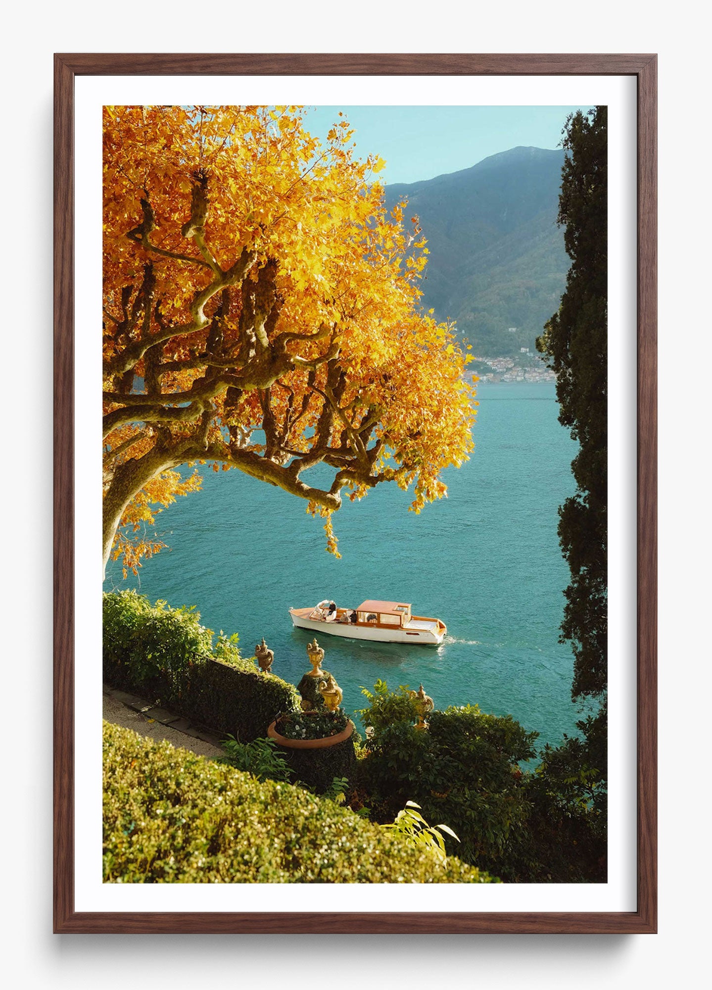 Autumn Cruise