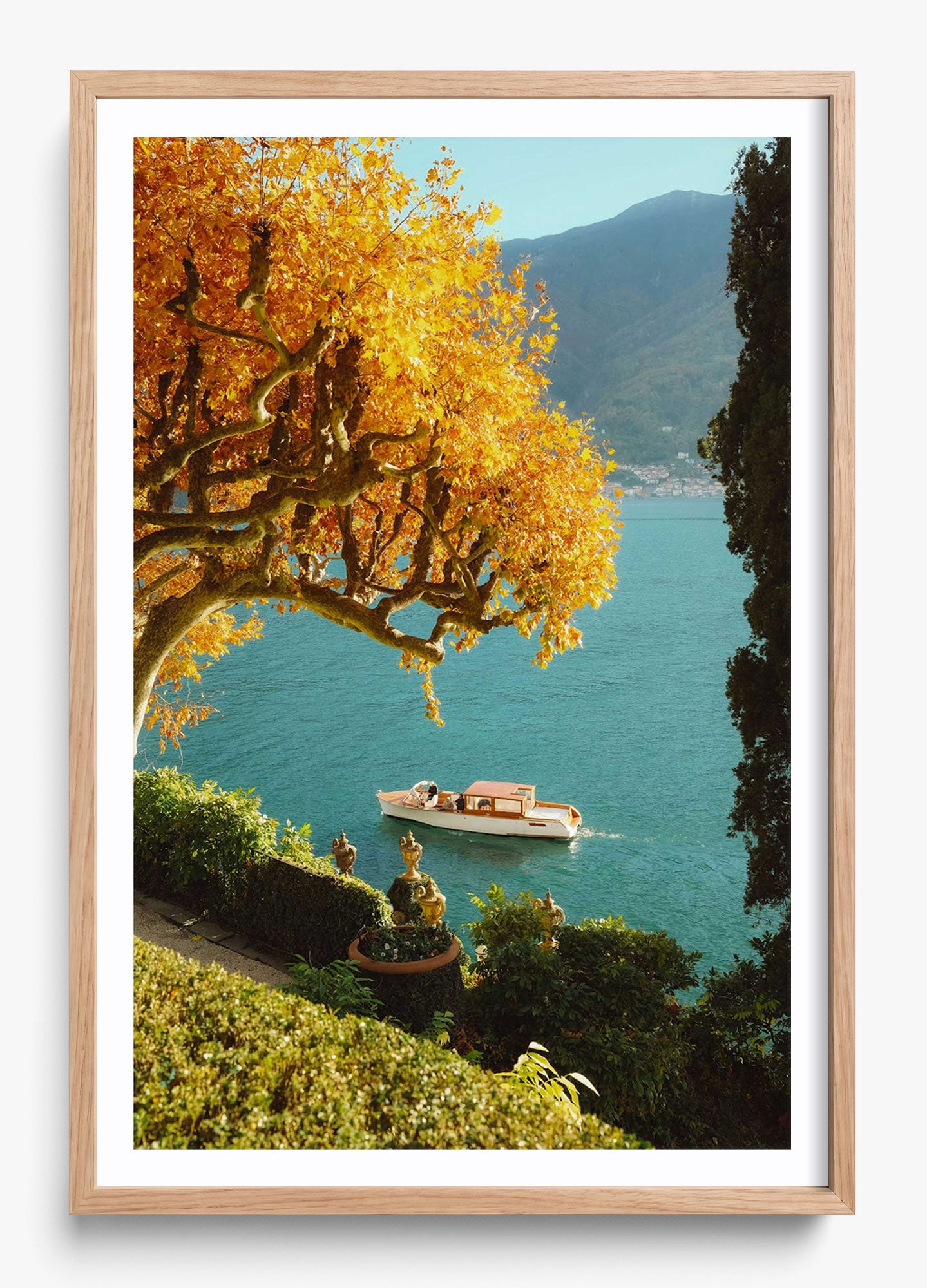 Autumn Cruise