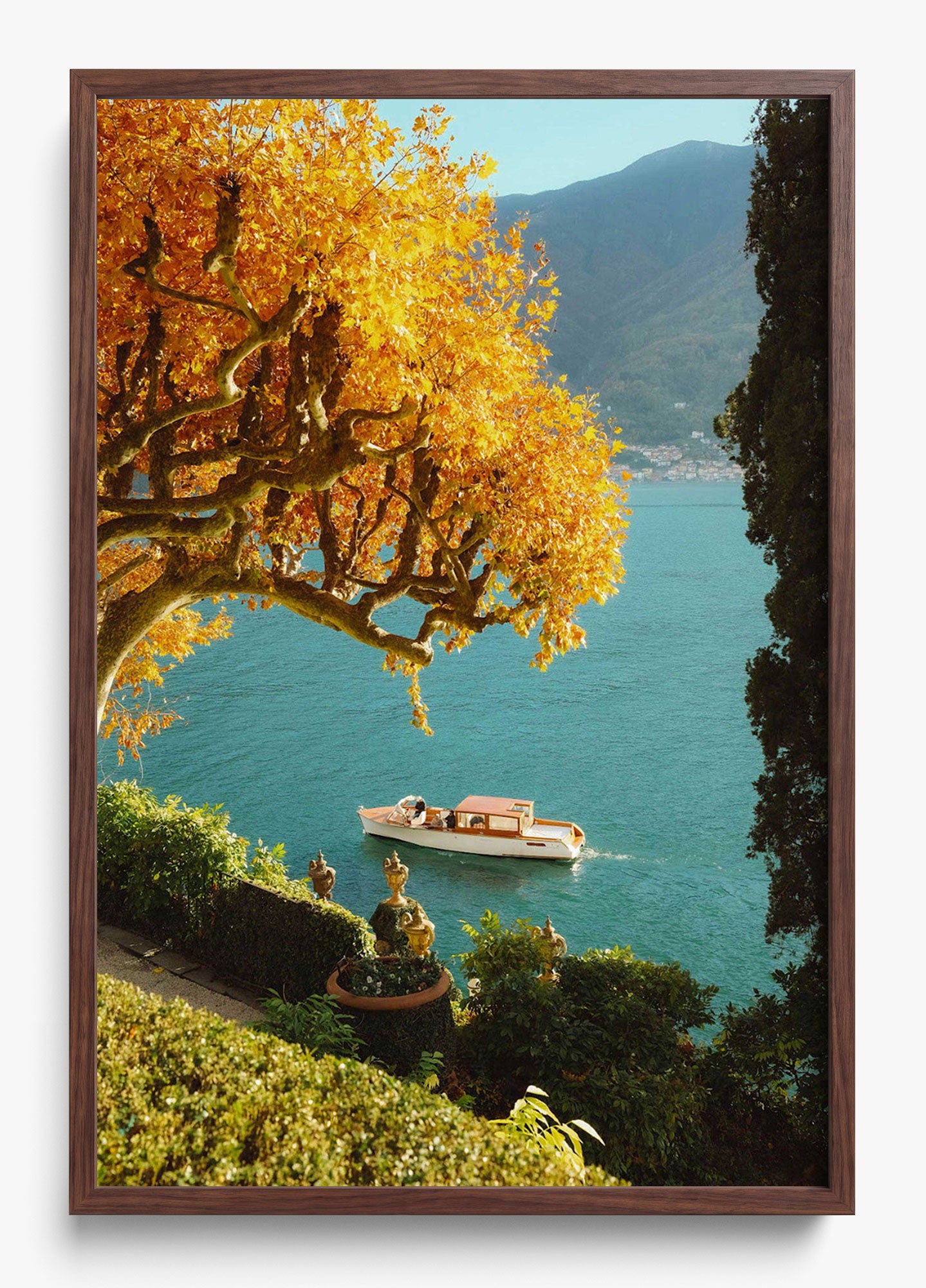 Autumn Cruise