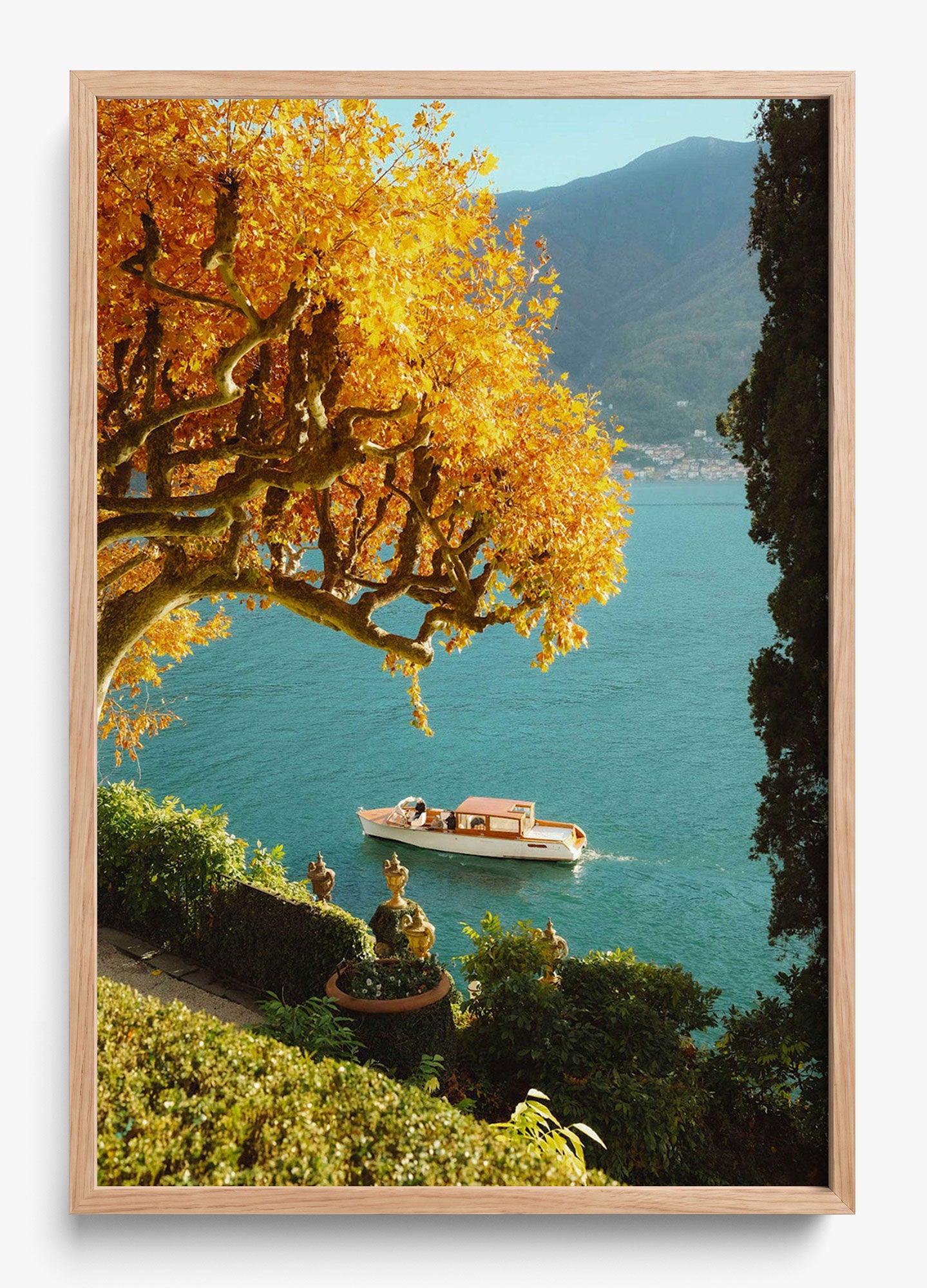 Autumn Cruise