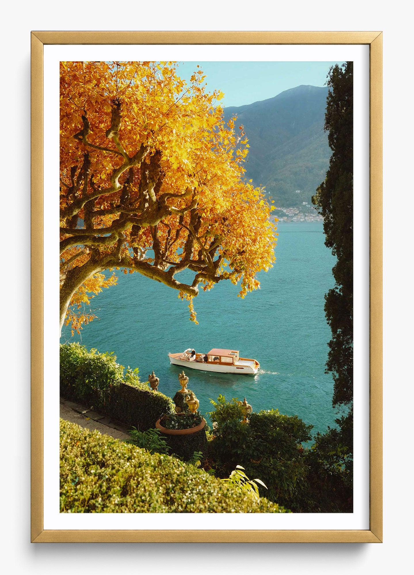 Autumn Cruise