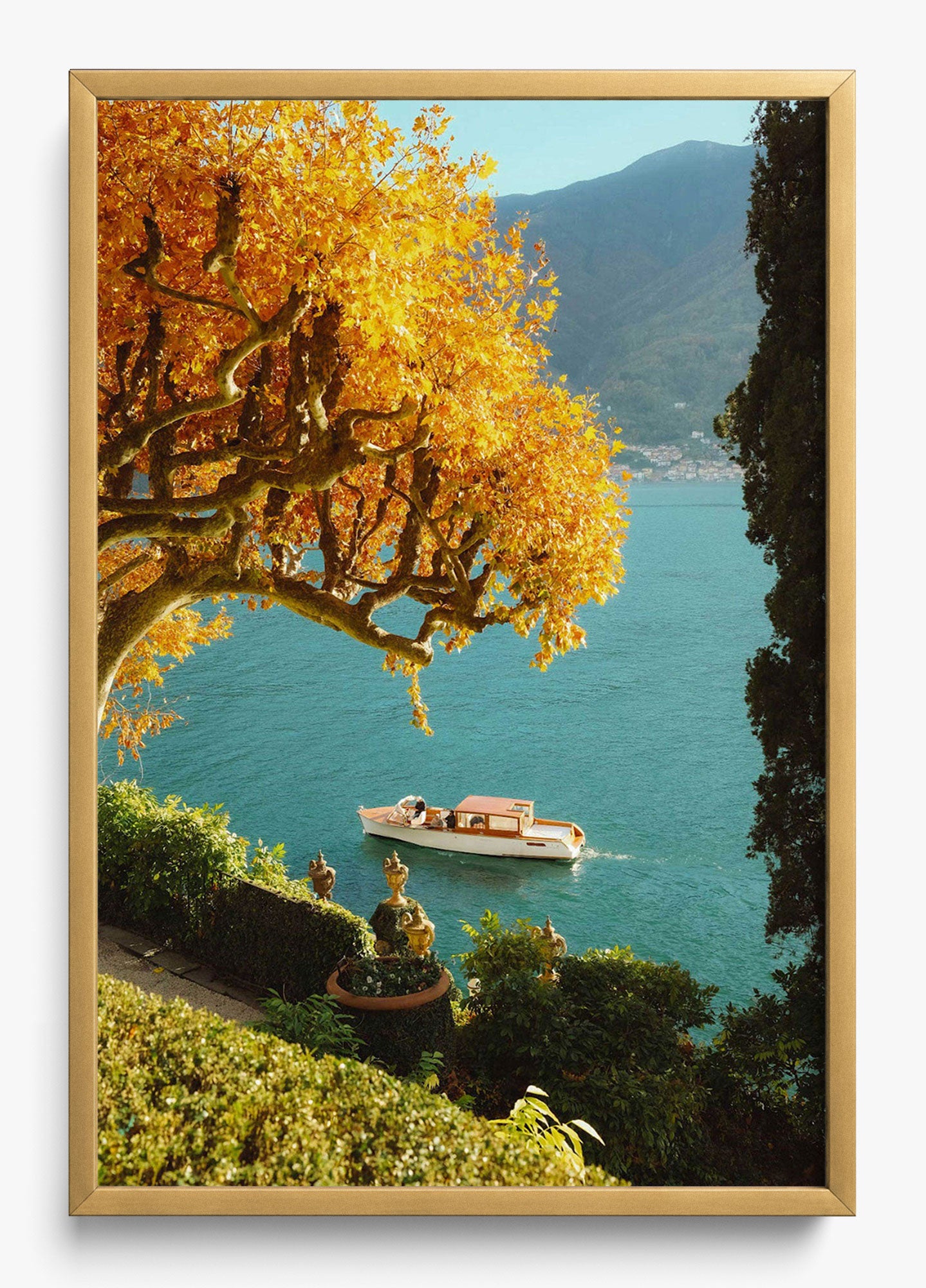Autumn Cruise