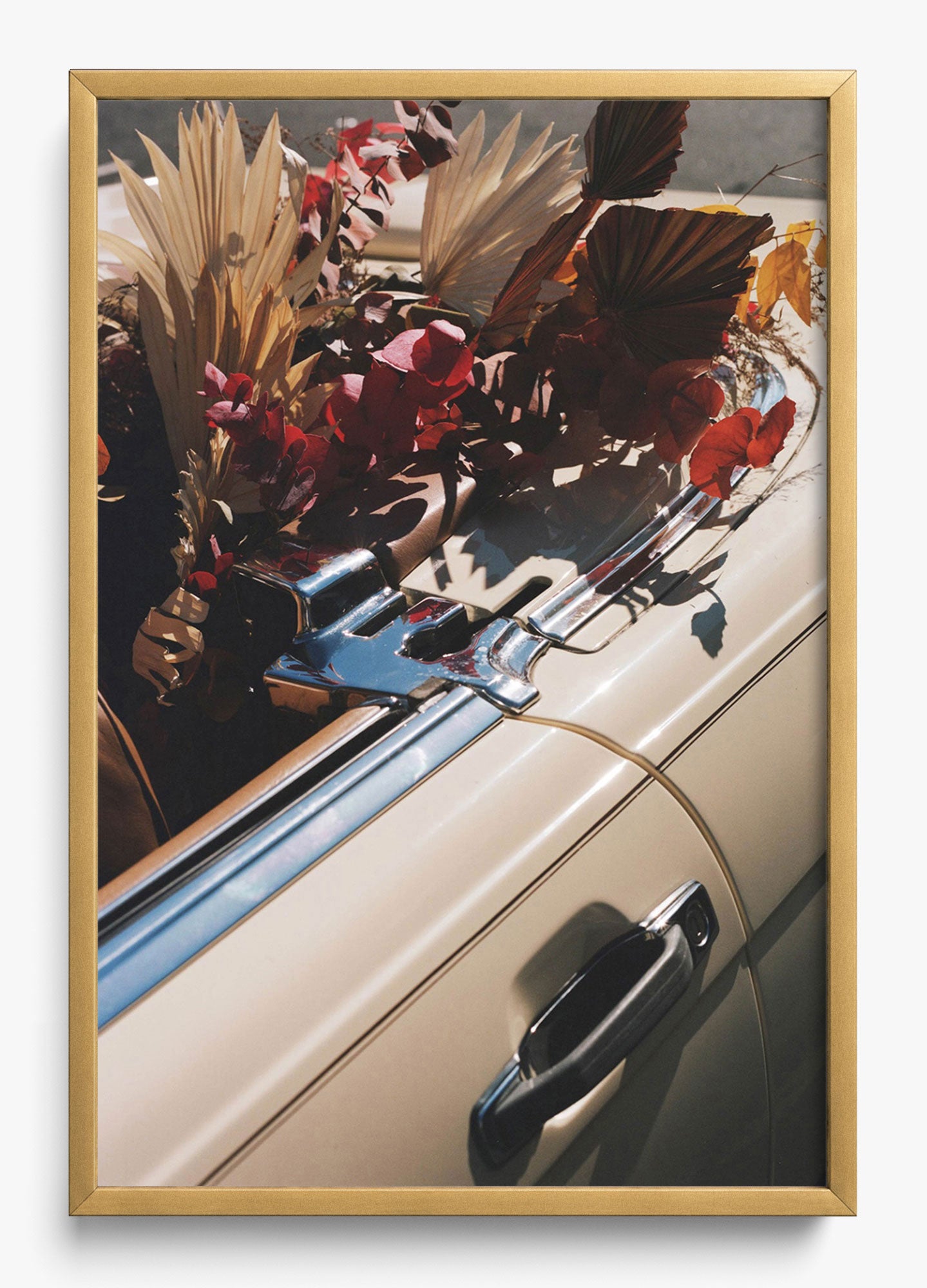 Autumn Cruiser